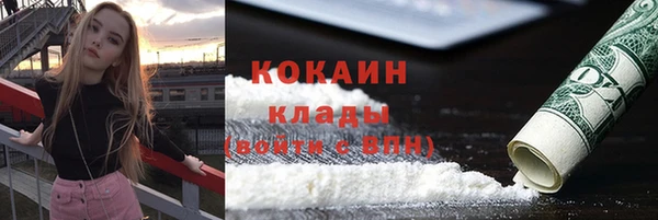индика Алексеевка