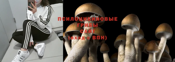 бошки Алзамай