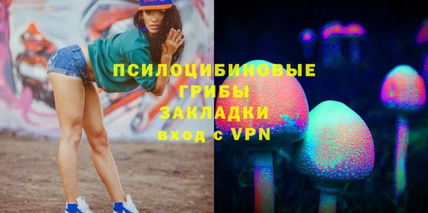 бошки Алзамай
